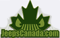 Small Logo