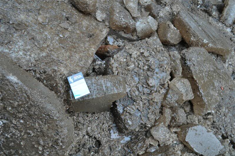 Name:  2010-01-17-Harrison022.jpg
Views: 28
Size:  101.3 KB