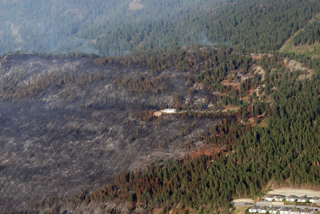 Name:  GlenrosaAftermath03.jpg
Views: 27
Size:  70.8 KB