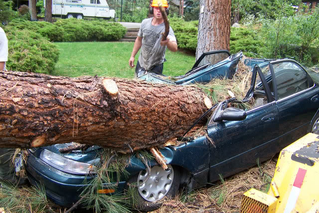 Name:  StormAftermath01.jpg
Views: 44
Size:  101.6 KB