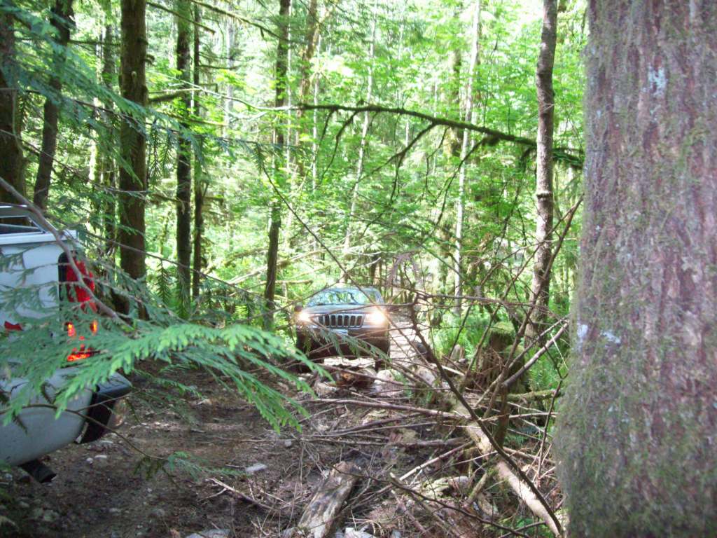 Name:  WJ01008.jpg
Views: 26
Size:  165.3 KB