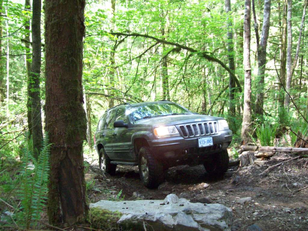 Name:  WJ02009.jpg
Views: 24
Size:  158.9 KB