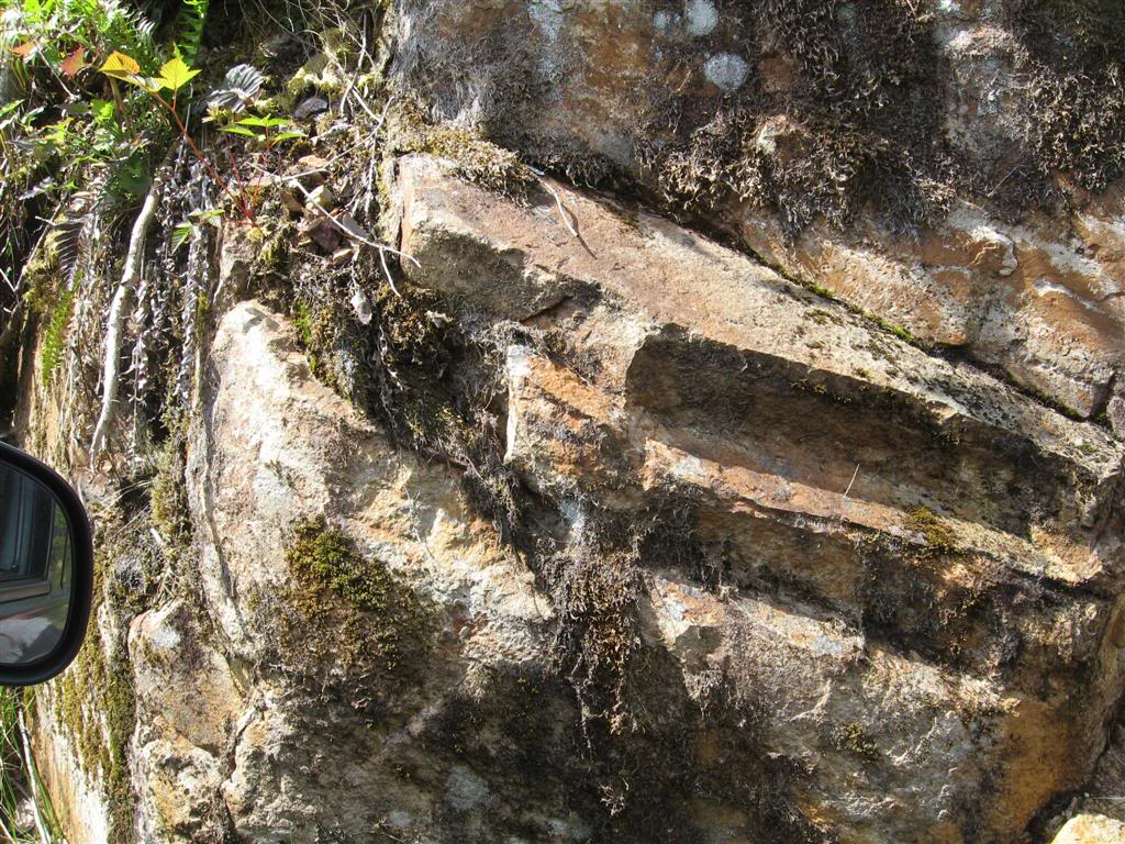 Name:  May15-172009Harrison115.jpg
Views: 42
Size:  234.9 KB