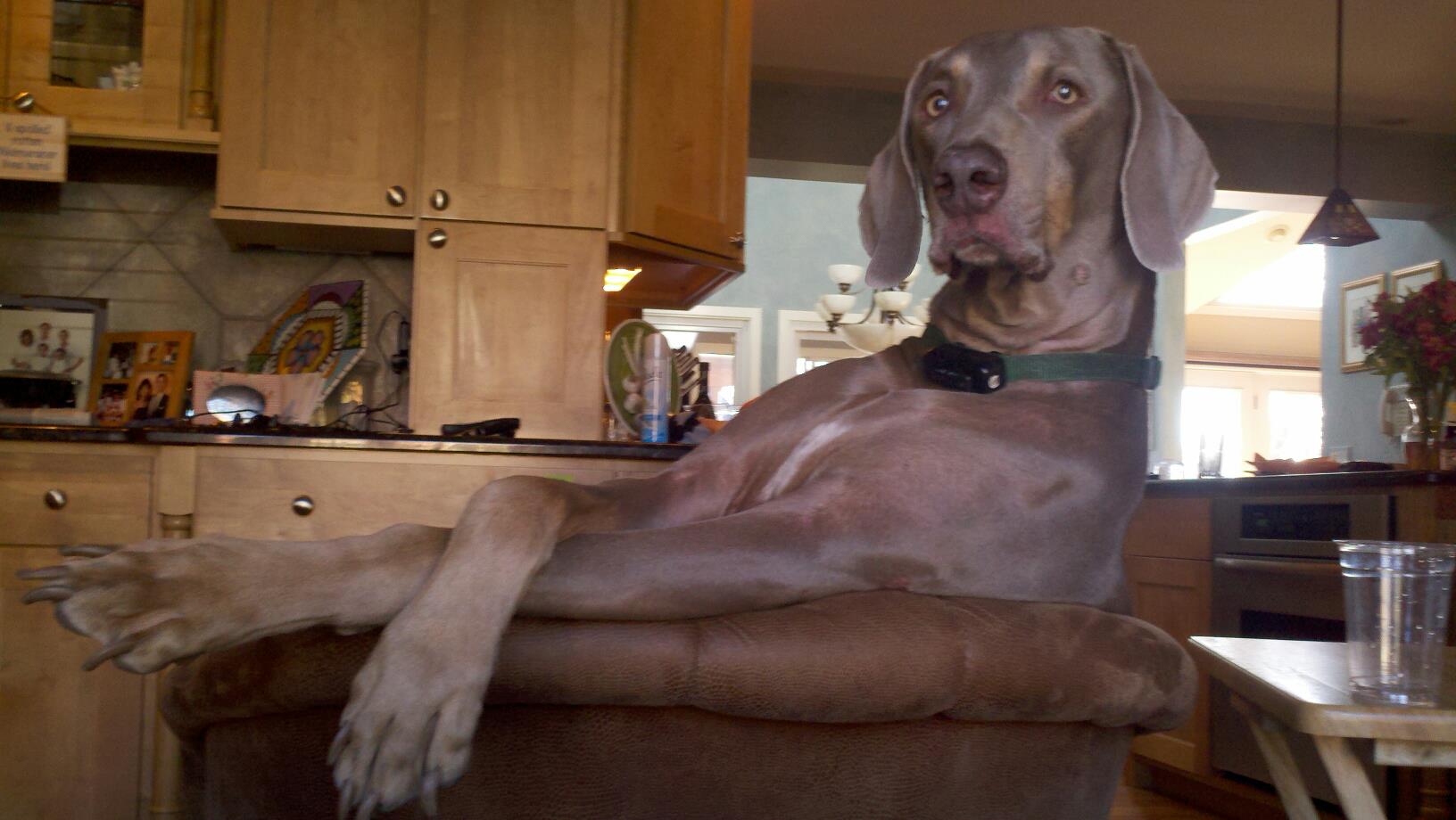 Name:  SwEea.jpg
Views: 28
Size:  132.0 KB