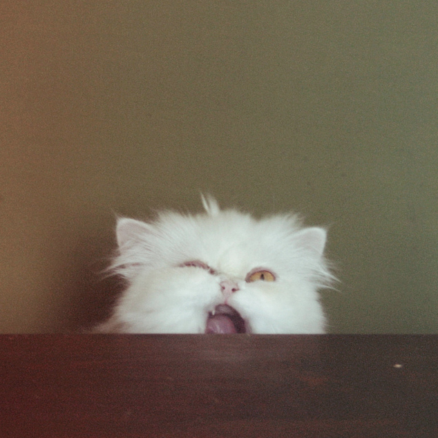 Name:  NVBnr.png
Views: 29
Size:  577.8 KB