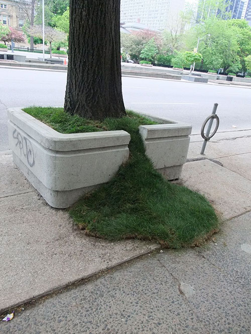 Name:  OJQ1D.jpg
Views: 27
Size:  100.9 KB