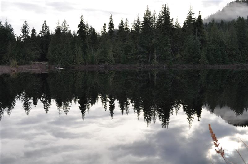 Name:  2010-01-17-Harrison013.jpg
Views: 40
Size:  53.7 KB