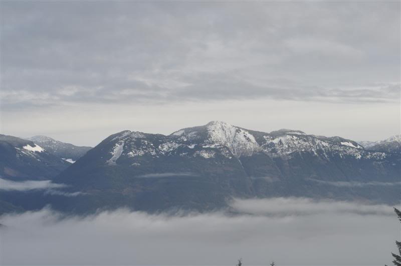 Name:  2010-01-17-Harrison017.jpg
Views: 19
Size:  24.2 KB