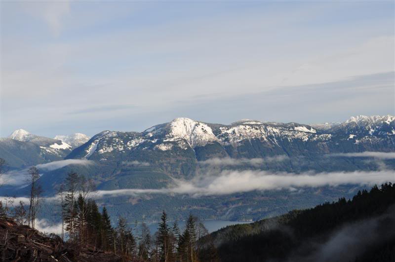 Name:  2010-01-17-Harrison019.jpg
Views: 22
Size:  42.3 KB