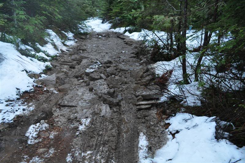 Name:  2010-01-17-Harrison020.jpg
Views: 61
Size:  102.5 KB