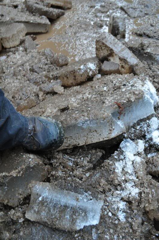 Name:  2010-01-17-Harrison021.jpg
Views: 19
Size:  93.1 KB