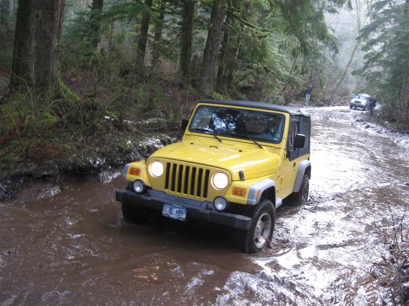 Name:  2009-12-29-Sylvester-Harrison003.jpg
Views: 30
Size:  93.0 KB