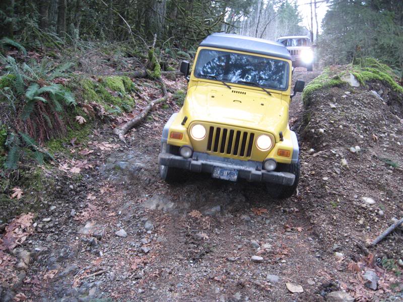 Name:  2009-12-29-Sylvester-Harrison010.jpg
Views: 30
Size:  126.3 KB