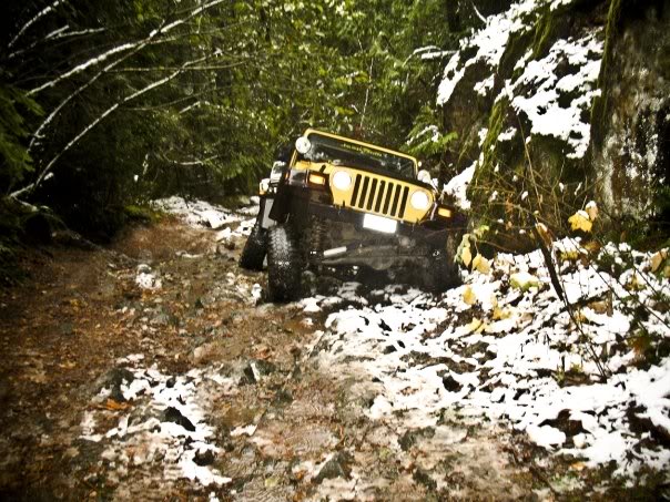 Name:  2009-BCJC-ToyRun-024.jpg
Views: 82
Size:  94.7 KB