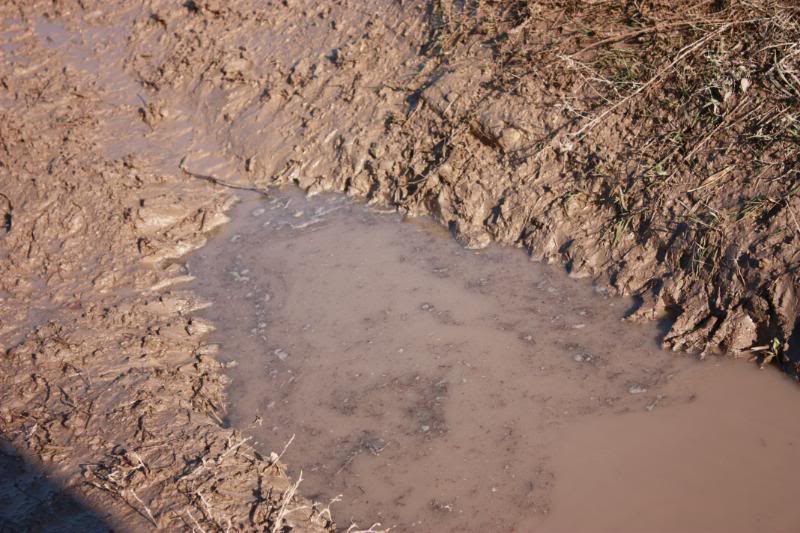 Name: IMG_0545.jpg
Views: 57
Size: 97.2 KB