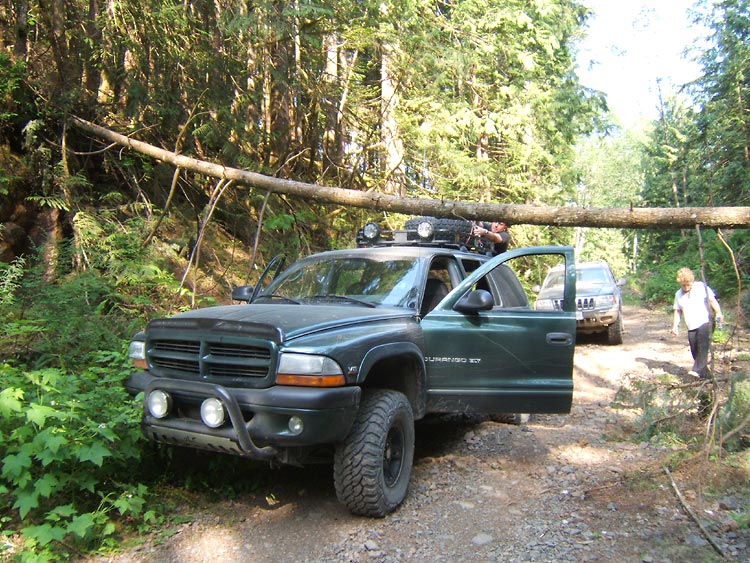 Name: Rango1.jpg
Views: 87
Size: 139.9 KB